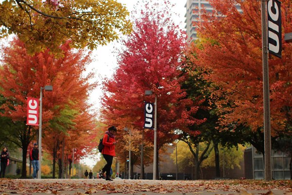 Trung Tâm Anh Ngữ Chuyên Sâu của University of Illinois at Chicago - USA
