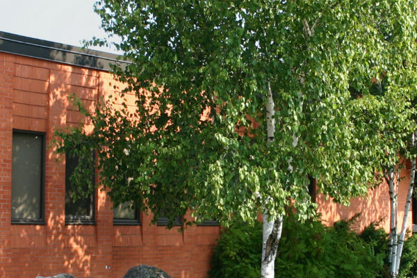 Trường Trung Học Acton District High School – Acton, Ontario, Canada