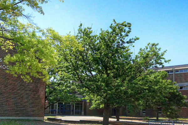 Trường Trung Học White Oaks Secondary School – Oakville, Ontario, Canada