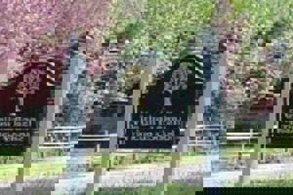 Virginia - Trường Trung Học Virginia Beach Friends School - USA