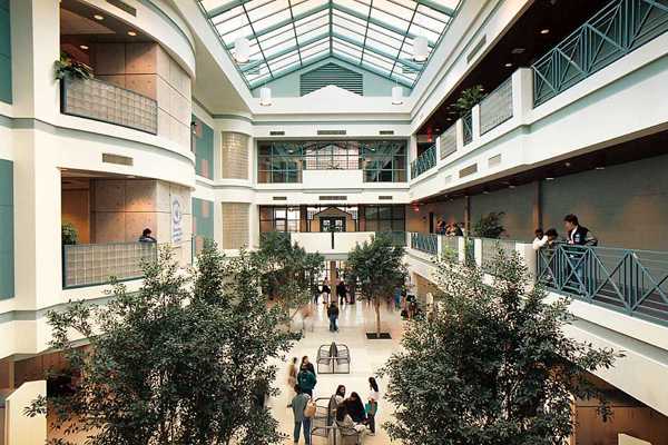 Image result for Vaughan Secondary School